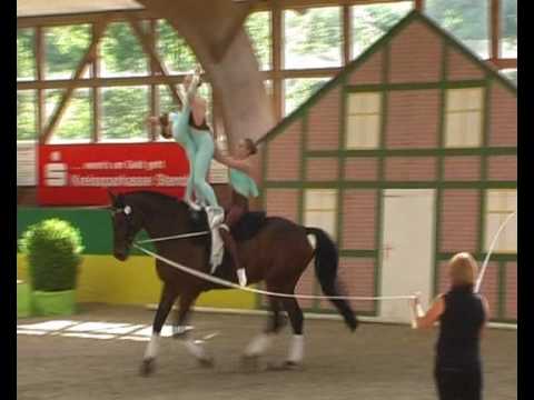 CVI** Krumke 2010 - Seniorteam Krumke (Kür Samstag)