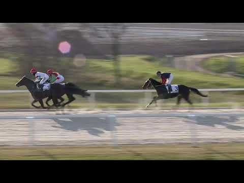 2020.11.29. 06. futam - AKABA – KÖZTÁRSASÁGI DÍJ (Elit kat.)(szintetikus pálya)