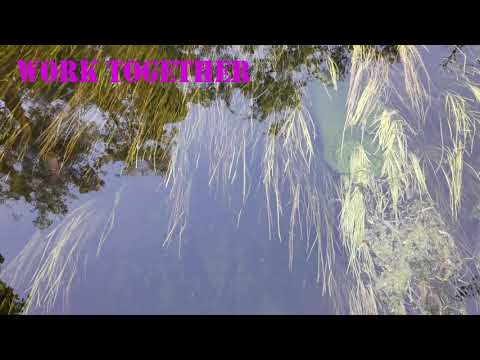 FlowFilm Canterbury - Xochitl's film - The Sea and the River