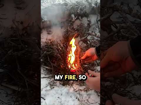 Winter Bushcraft Camping with 4 yr Old  #camping #outdoorsurvival #bushcraft