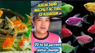 KAILAN DAPAT MAGPALIT NG TUBIG SA AQUARIUM