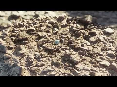 I am Groot season 1 full movie best scene