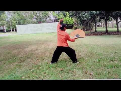 Tai Chi Kung Fu Fan太極功夫扇-背向示范