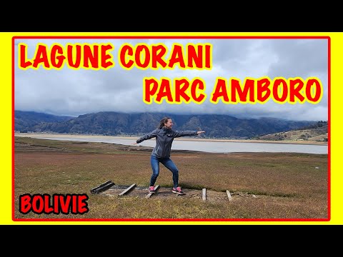 A constantly changing landscape / Amboro National Park / Truck cleaning / Bolivia (94)