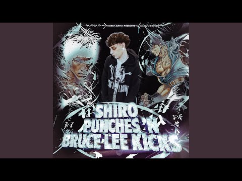 Shiro Punches 'N Bruce Lee Kicks