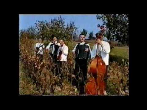 Slovenski Ludovi Orchester Ked Pojdem z Pazova