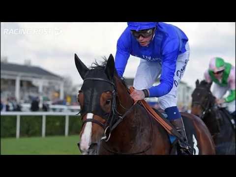Queen Elizabeth Stakes: Belardo