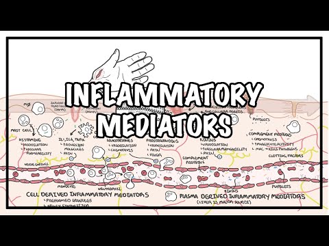 Immunology Overview