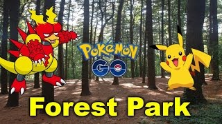 Pokemon Go - Catching Rare Pokemon at Forest Park, New York City