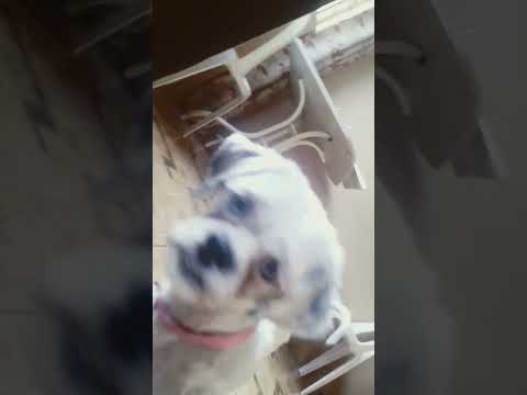 23 de febrero de 2024