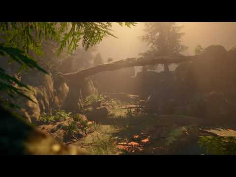 Unreal Engine 4 Forest animation