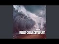 The Red Sea Strut - Beth Schafer - Topic The Red Sea Strut