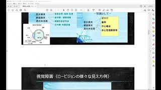 盲ろう教育実践セミナー　視覚障害の状態の把握