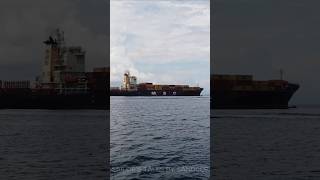MSC logistic ship in Panama anchorage #mscships #logistics  #fact