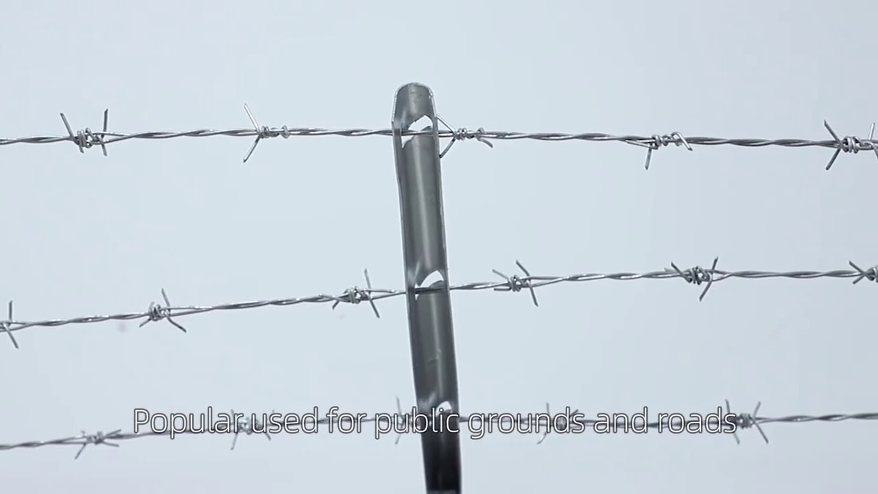 Watch video chain link fence with top barbed wire Now chain link fence with top barbed wire