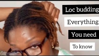 Budding starter Locs | Everything you need to know about Loc budding.