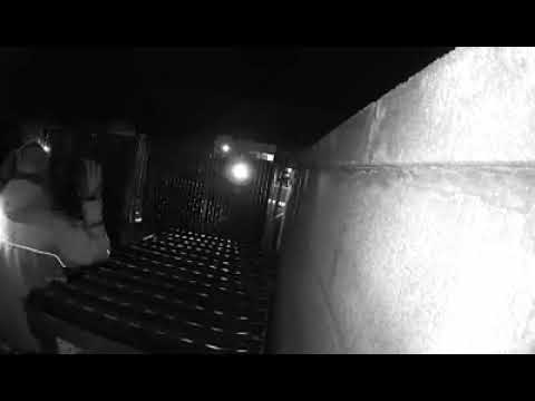 Theft Suspect Apprehended
