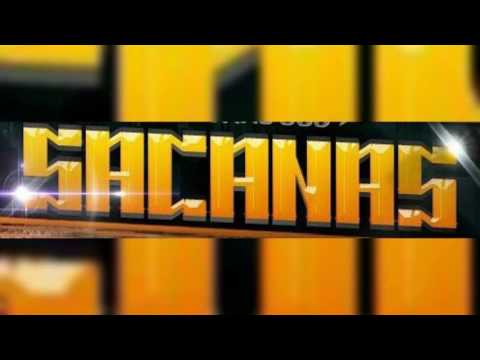 Mc Rick & Didi - Bloco Dos Sacanas ((Rick Prod e Dj Gui Marques))