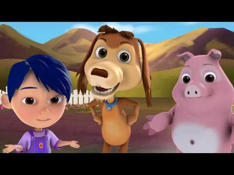 Perro Chocolo – Solidaridad