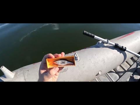 LATE Summer Gifted Lure Fishing