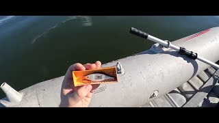 LATE Summer Gifted Lure Fishing