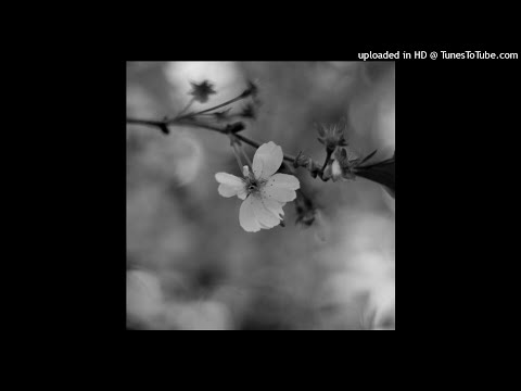 fats'e x nedarb nagrom - blossom .prod nedarb nagrom.