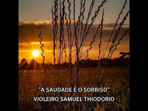 A Saudade É O Sorriso - Samuel Thiodorio