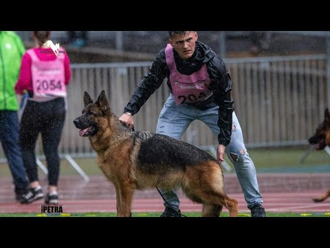 #bszs2022 - Classe travaille femelles - Working Class Female