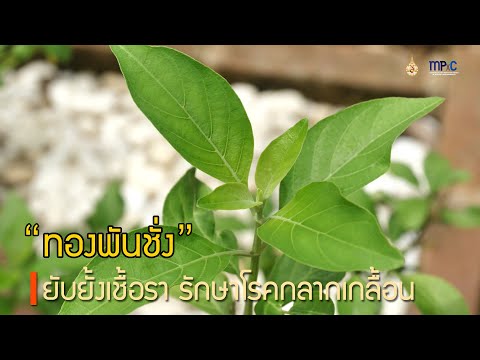 ��ԡ���ʹ٤�Ի�Դ���