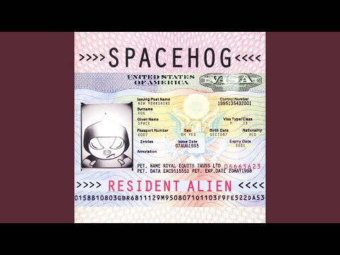 Spacehog - In the Meantime cover
