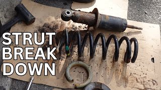 Strut tear down and Strut Assembly