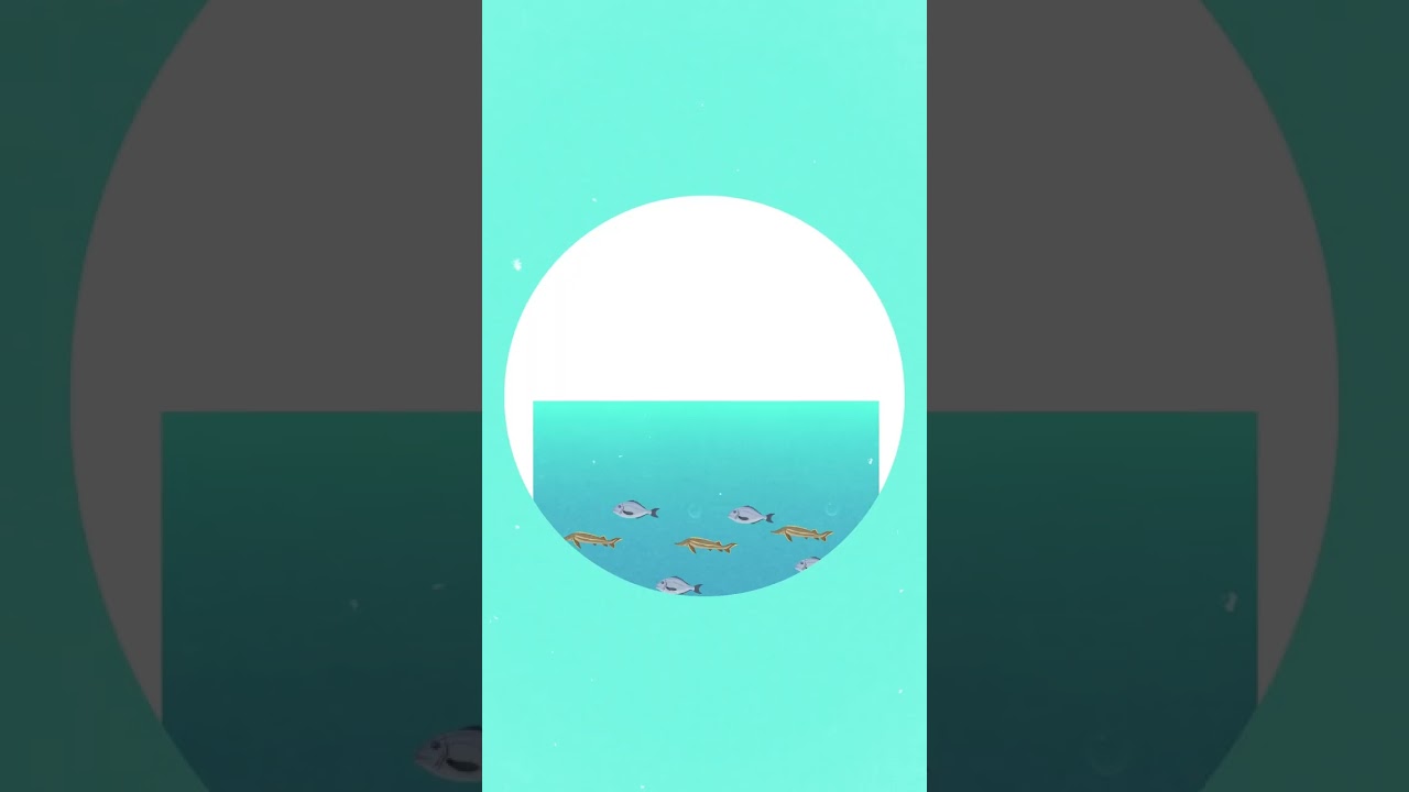 Video 2