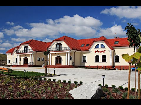 Hotel Viwaldi Baruchowo - Gostynin-Noclegi.pl