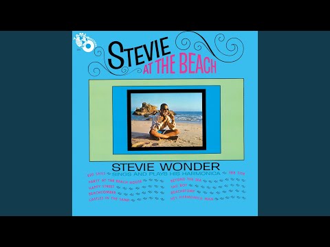 Video thumbnail for Hey Harmonica Man