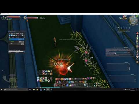 AION 5.3 - My Dps Rotation (Sin) | Alypha - Hyperion