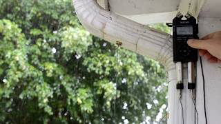 Downspout Contact Mic Noise
