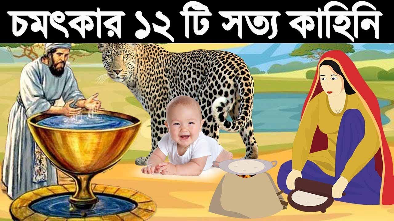 একসাথে চমৎকার ১2 টি সত্য ঘটনা || Best 12 Animation Moral Story || The Moral Tv