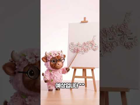 놓치면 1년 기다려야 됨