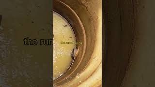 How to collect surface runoff rainwater ?