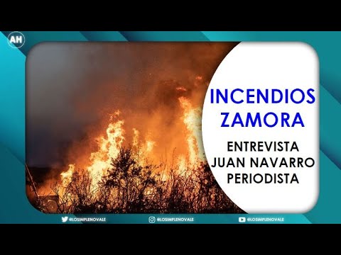 ZAMORA CALCINADA POR LOS INCENDIOS / ENTREVISTA A JUAN NAVARRO GARCÍA
