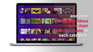 ivvi Review: Influencer Marketing Software (Platform)