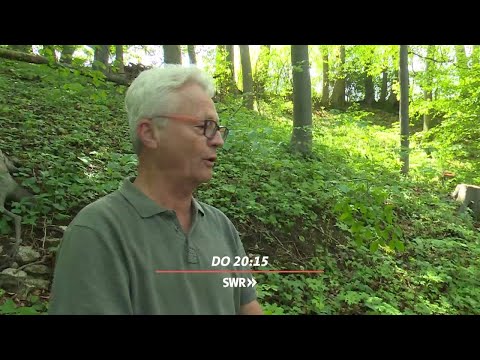 Mit 30 Sachen durchs Unterholz - E-Bikes nerven Wanderer "Zur Sache Baden-Württemberg" berichtet.