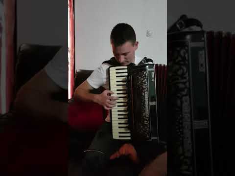 Bojan Br.6 2019 (Accordionist since 2016) - Gunj kolo (Tomica Miljić) - cover