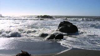 preview picture of video 'Playing at The Oregon Coastline Beaches'