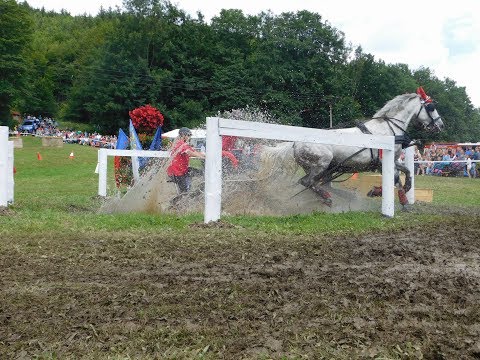 Vozatajské závody v Dolní lomné 2017