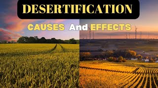 What is Desertification? | Desertification Causes and Effects | Desertification