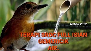 Download lagu terapi srdc biar cepat bunyi,di iringi gemericik air mengalir ,srdc gacor .masteran srdc mp3 Download lagu terapi srdc biar cepat bunyi,di iringi gemericik air mengalir ,srdc gacor .masteran srdc mp3