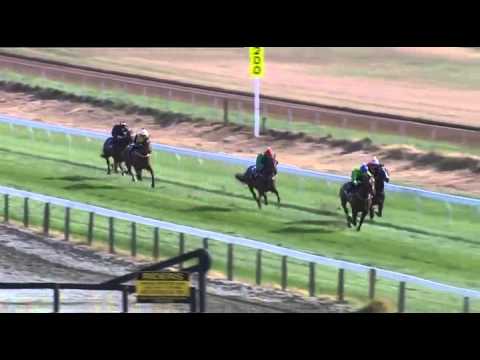 DUPORTH 2yo gelding Trial 2014.3.25 @ 650m