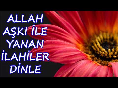 💛🌺Allah aşkı ile yanan ilahiler dinle🌺💛Gönüllere taht kuran mükemmel ilahiler dinle💛🌺