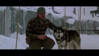 John Carpenter&#39;s The Thing / Boards Of Canada (Tomorrow&#39;s Harvest) - White Cyclosa, Uritual, Gemini